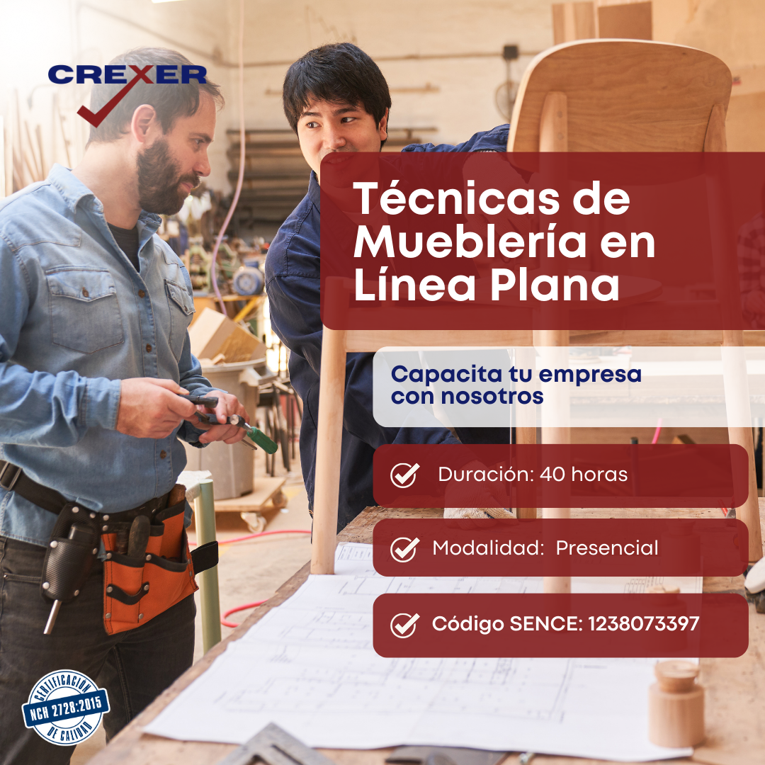 Técnicas De Mueblería En Línea Plana